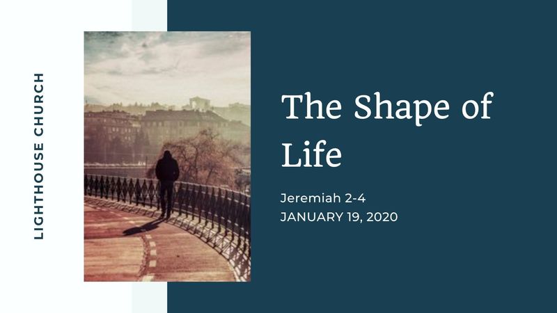 The Shape of Life